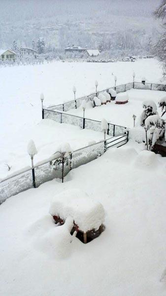 Hotel Mountain Inn Manali  Exterior photo
