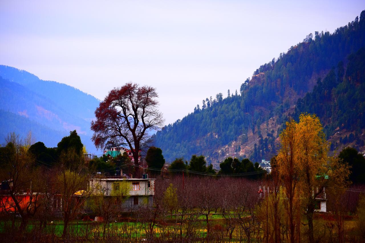 Hotel Mountain Inn Manali  Exterior photo